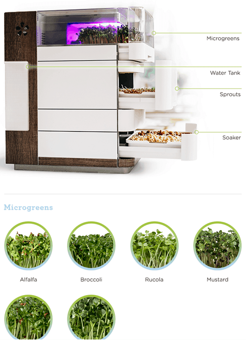 Cell One, Kebun Pintar untuk Makanan Segar dan Lokal 1 Cell One Smart Garden